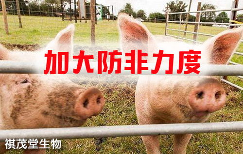 筑牢生物安全屏障 抓實關鍵措施，防控重大疫病，保障畜牧漁業飼料銷售穩定