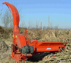 全新優(yōu)質(zhì)鍘草機選購指南 型號規(guī)格解析與畜牧漁業(yè)飼料銷售策略