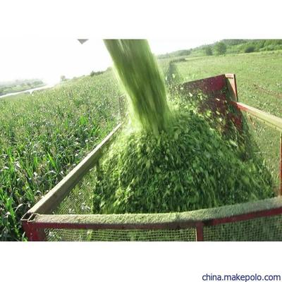 吉林創新發布懸掛式玉米青儲機割臺 犇牛大型青飼料收割機價格與畜牧飼料銷售新機遇